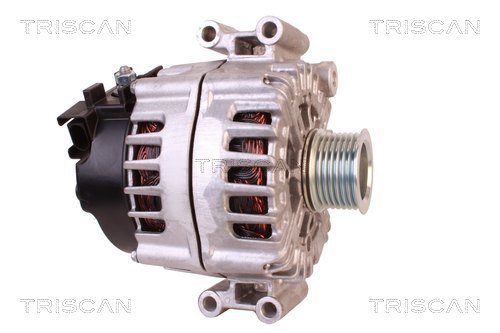 TRISCAN 8310 68007 Generator