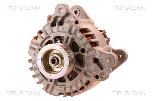 TRISCAN 8310 69011 Generator