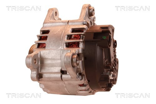 TRISCAN 8310 69011 Generator
