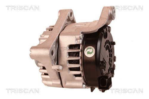 TRISCAN 8310 69012 Generator