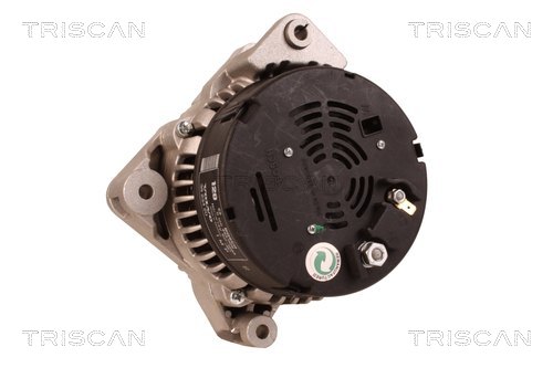 TRISCAN 8310 69013 Generator