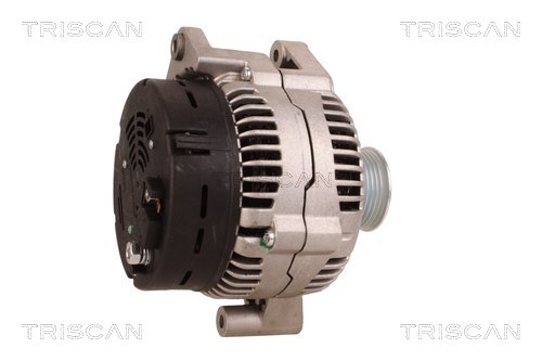 TRISCAN 8310 69013 Generator