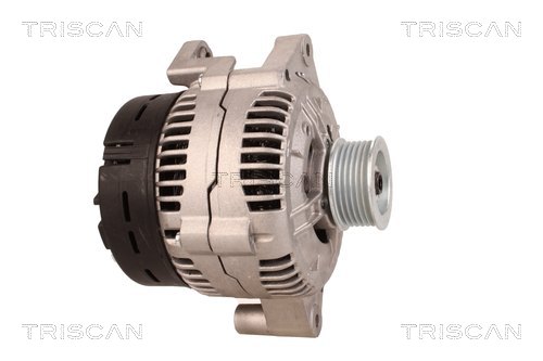 TRISCAN 8310 69013 Generator
