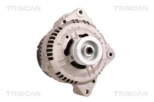 TRISCAN 8310 69013 Generator