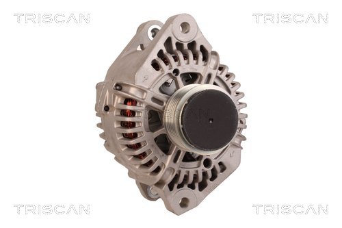TRISCAN 8310 69014 Generator