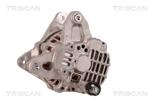 TRISCAN 8310 69017 Generator