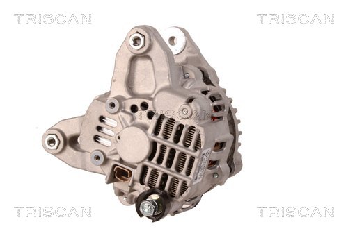 TRISCAN 8310 69017 Generator