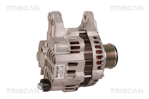 TRISCAN 8310 69017 Generator