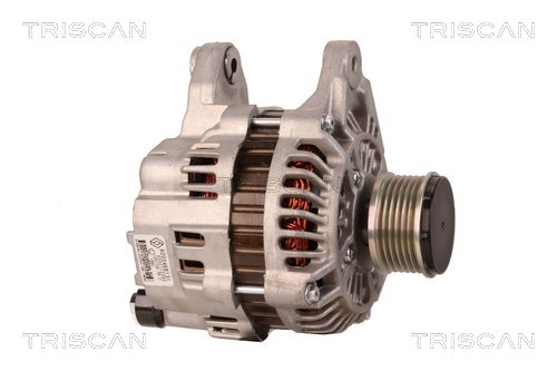TRISCAN 8310 69017 Generator