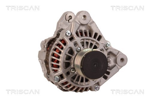 TRISCAN 8310 69017 Generator