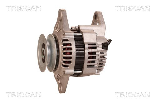TRISCAN 8310 69017 Generator