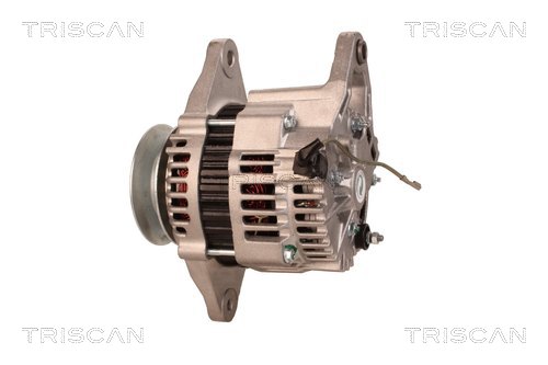 TRISCAN 8310 69017 Generator