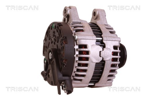 TRISCAN 8310 80002 Generator