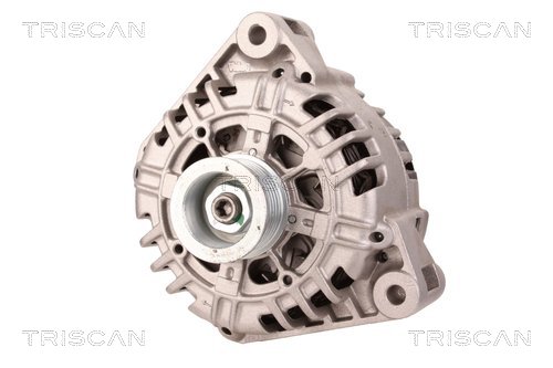 TRISCAN 8310 80004 Generator