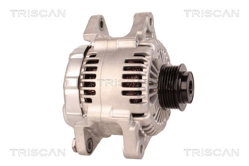 TRISCAN 8310 80006 Generator