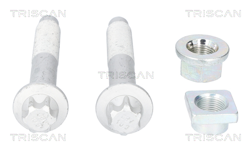 TRISCAN 8500 10406 Reparatursatz, Radaufhängung