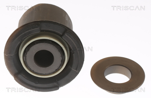 TRISCAN 8500 108010 Lagerung, Achskörper