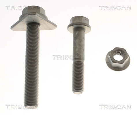 TRISCAN 8500 11433 Reparatursatz, Radaufhängung