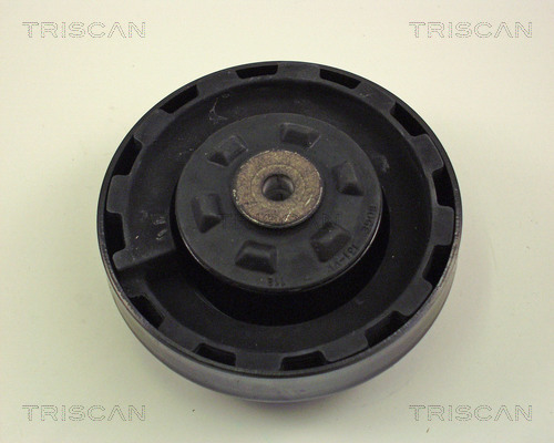 TRISCAN 8500 11903 Federbeinstützlager