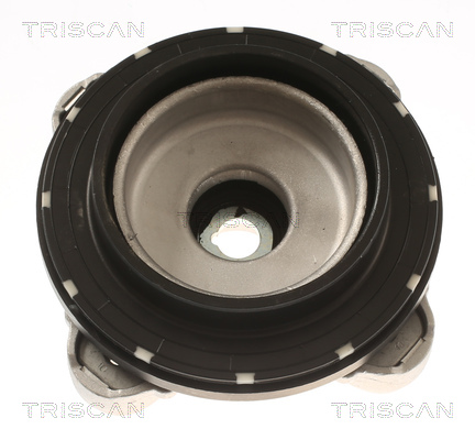 TRISCAN 8500 11947 Federbeinstützlager