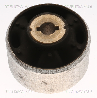 TRISCAN 8500 16891 Lagerung, Lenker