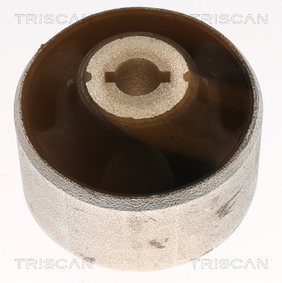 TRISCAN 8500 16891 Lagerung, Lenker