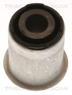 TRISCAN 8500 16892 Lagerung, Lenker