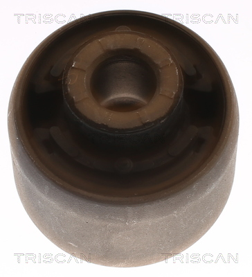 TRISCAN 8500 16895 Lagerung, Lenker