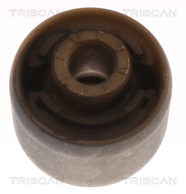 TRISCAN 8500 16895 Lagerung, Lenker