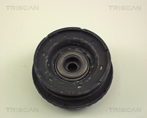TRISCAN 8500 16900 Federbeinstützlager