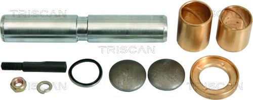 TRISCAN 8500 2363 Reparationssats, spindelbult