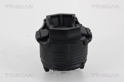 TRISCAN 8500 23826 Lagerung, Achskörper