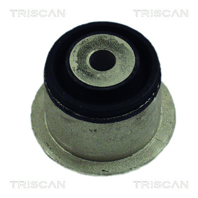 TRISCAN 8500 24838 Lagerung, Achskörper