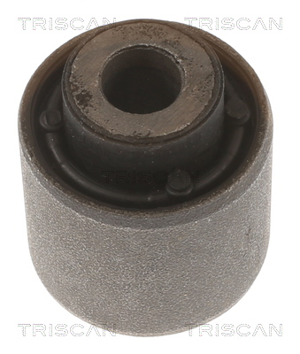 TRISCAN 8500 24891 Lagerung, Lenker