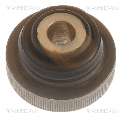 TRISCAN 8500 288003 Lagerung, Lenker