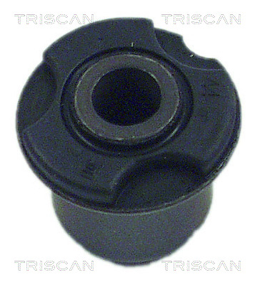 TRISCAN 8500 28813 Lagerung, Achskörper