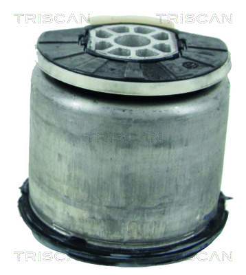 TRISCAN 8500 28836 Lagerung, Achskörper