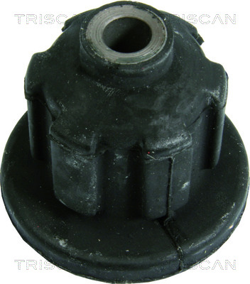 TRISCAN 8500 29828 Lagerung, Achskörper