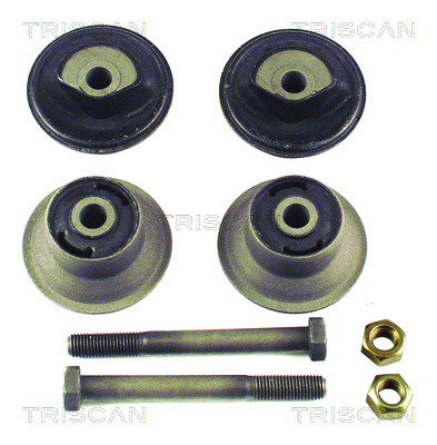 TRISCAN 8500 29831 Lagerung, Achskörper