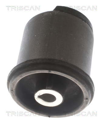 TRISCAN 8500 29874 Lagerung, Achskörper