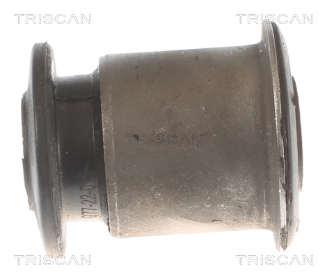 TRISCAN 8500 29879 Lagerung, Lenker