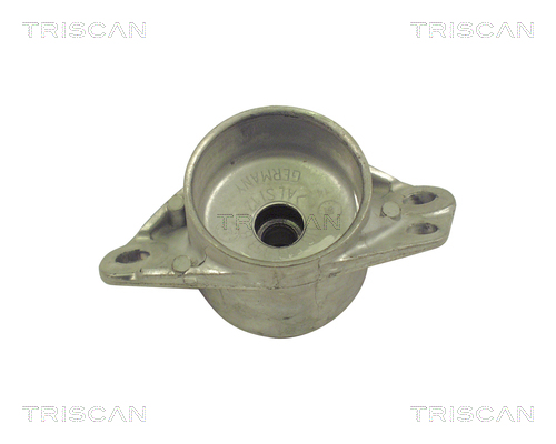 TRISCAN 8500 29906 Federbeinstützlager