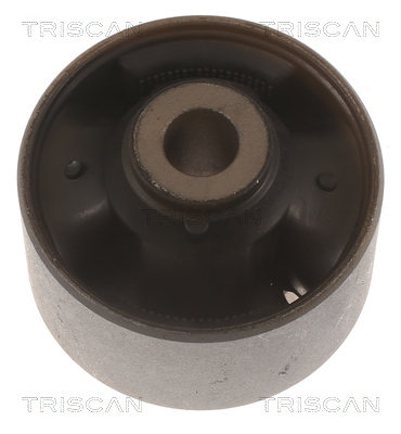 TRISCAN 8500 43861 Lagerung, Lenker