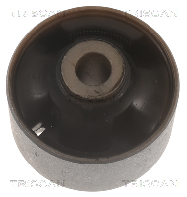 TRISCAN 8500 43861 Lagerung, Lenker
