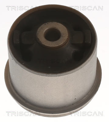 TRISCAN 8500 43872 Lagerung, Achskörper