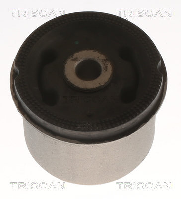 TRISCAN 8500 43872 Lagerung, Achskörper