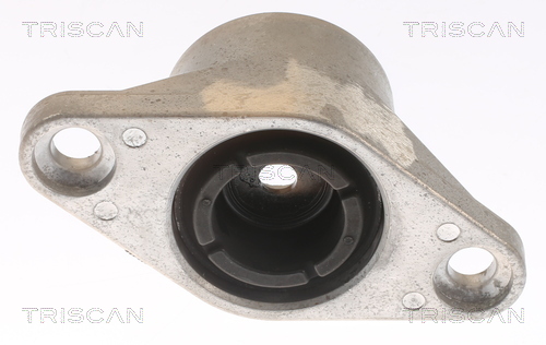 TRISCAN 8500 43928 Federbeinstützlager