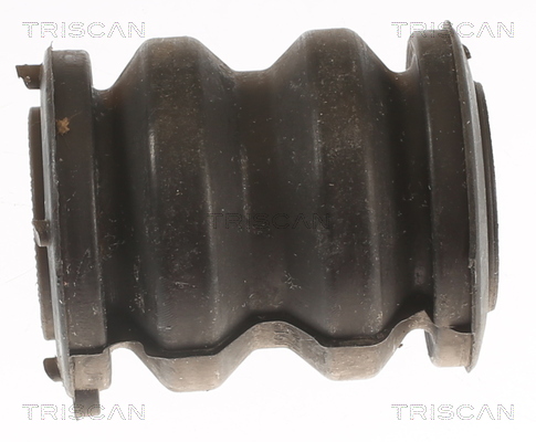 TRISCAN 8500 50845 Lagerung, Lenker
