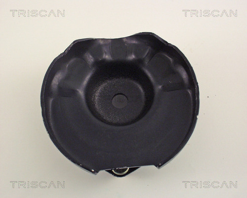 TRISCAN 8500 50907 Federbeinstützlager