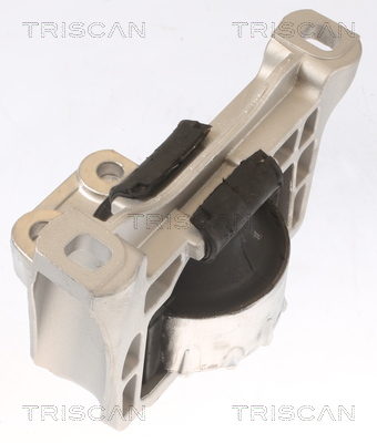 TRISCAN 8505 10100 Lagerung, Motor